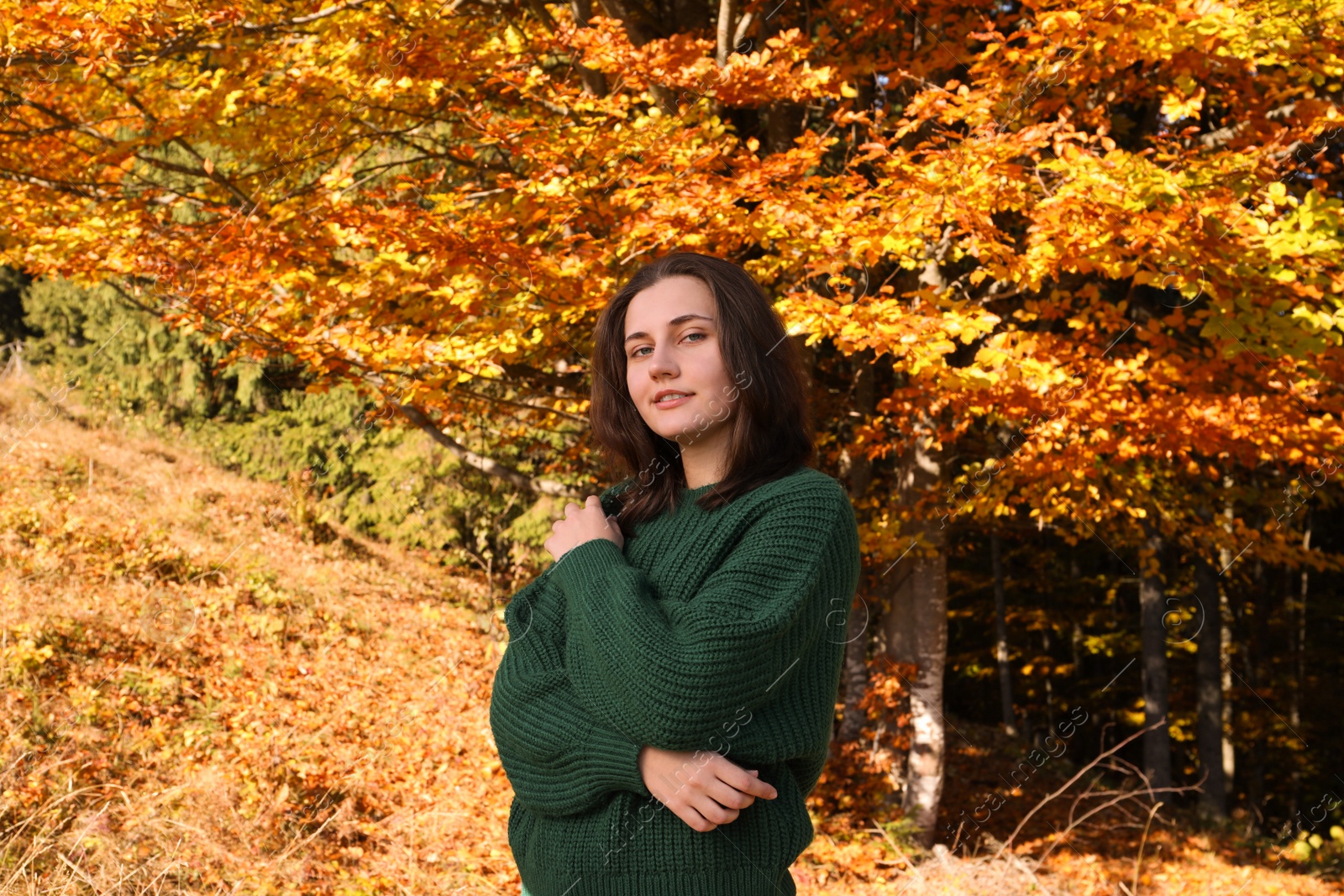 Photo of Portrait of beautiful young woman near forest in autumn