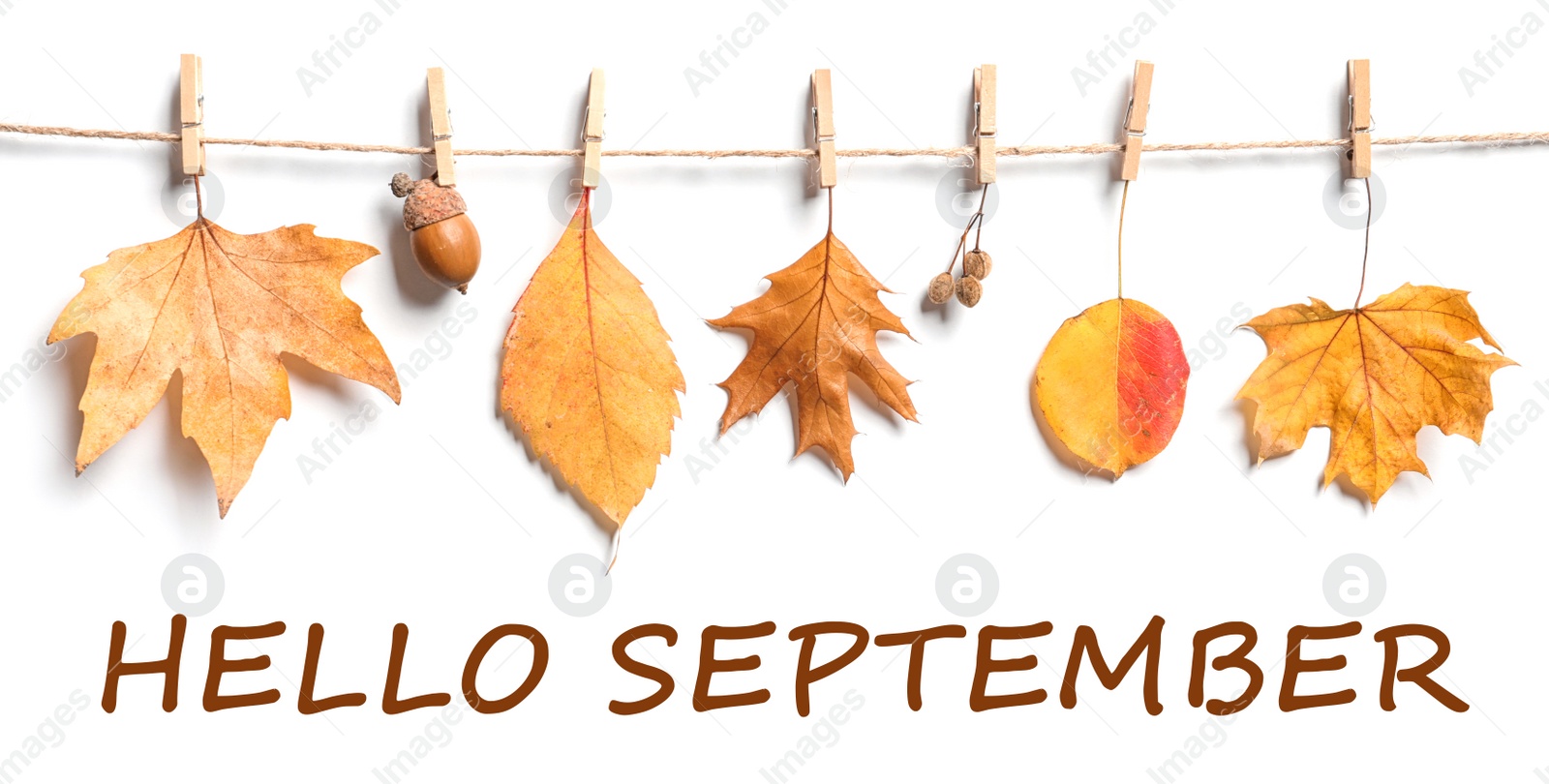 Image of Hello September card. Rope with autumn leaves hanging on white wall