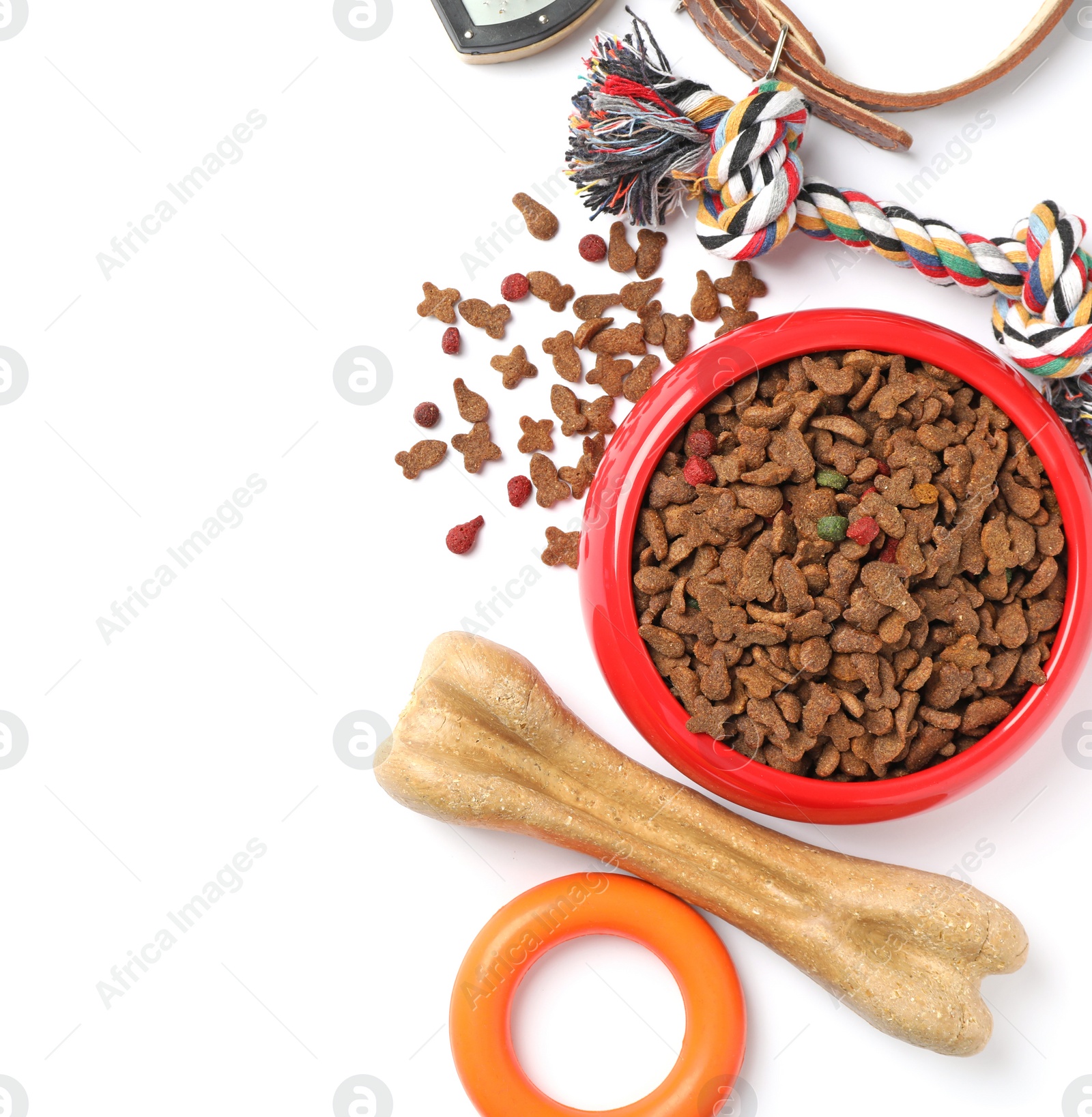 Photo of Bowl with food for dog and accessories on white background. Pet care