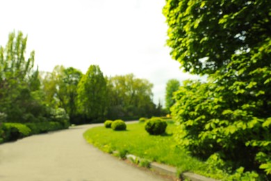 Photo of Blurred view of beautiful park on sunny day