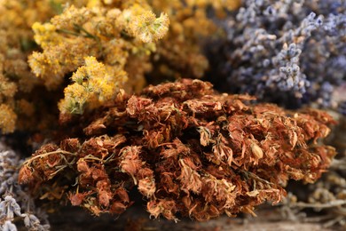 Photo of Many different dry herbs on table, closeup