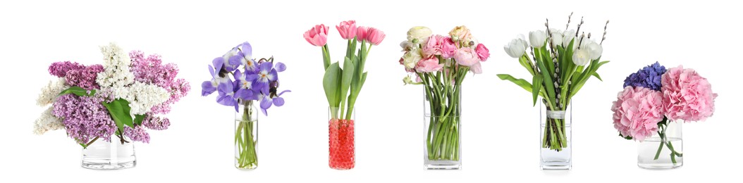 Image of Collage with various beautiful flowers in glass vases on white background. Banner design