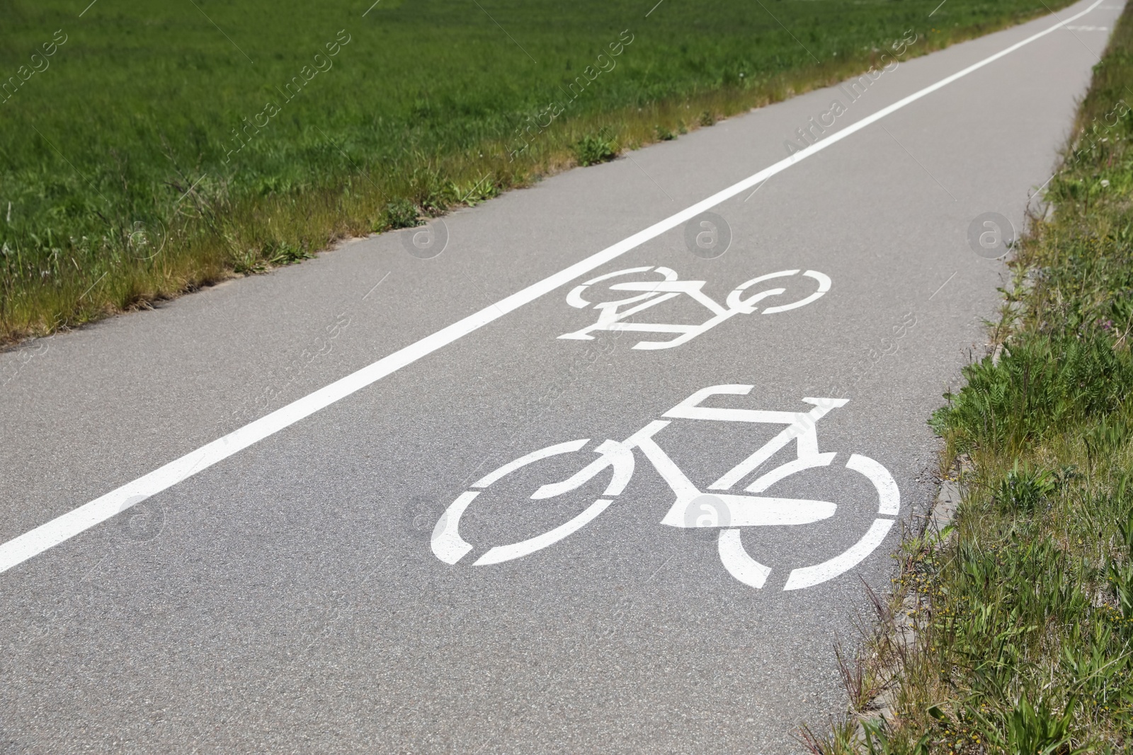 Photo of Bicycle lane with white sign painted on asphalt near sidewalk