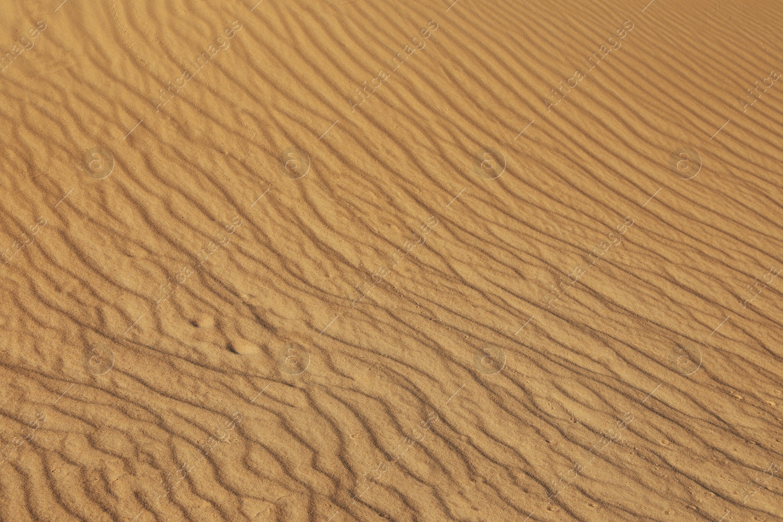 Photo of Closeup view of sand dune in desert as background