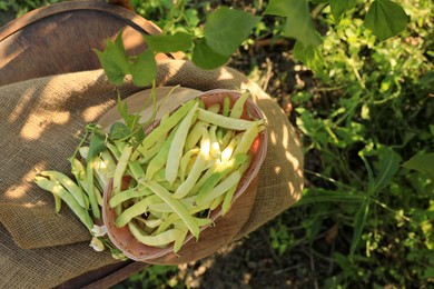 Photo of Wicker basket with fresh green beans on wooden chair in garden, top view