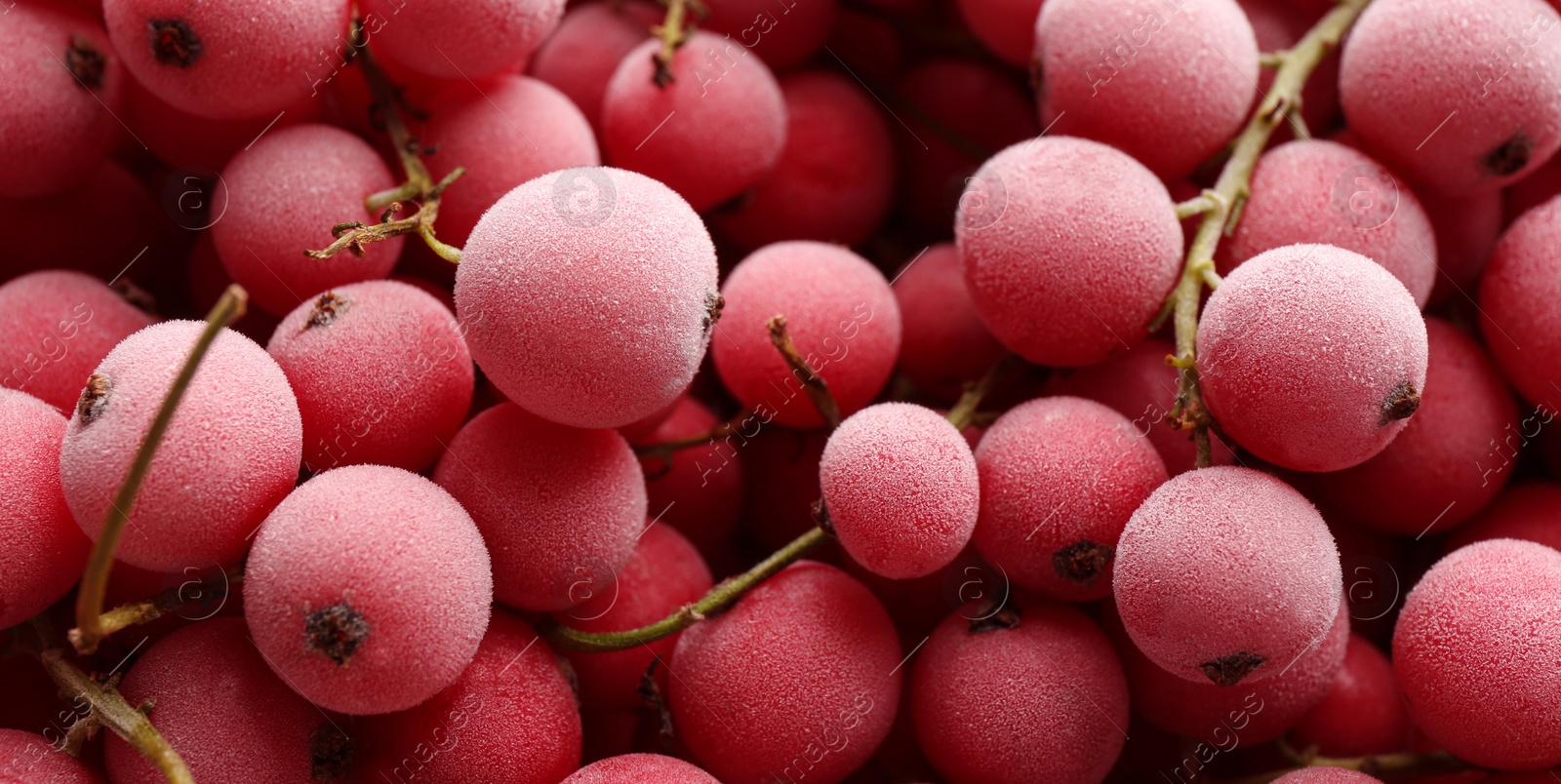 Photo of Tasty frozen red currants as background, closeup view