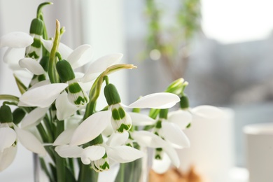 Photo of Beautiful fresh snowdrops in vase, closeup view