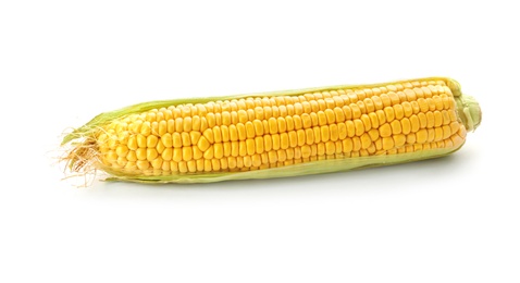 Tasty sweet corn cob on white background