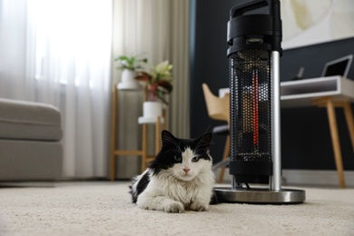 Photo of Cat near modern electric halogen heater on floor in room