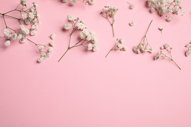 Photo of Beautiful floral composition with gypsophila on pink background, flat lay. Space for text