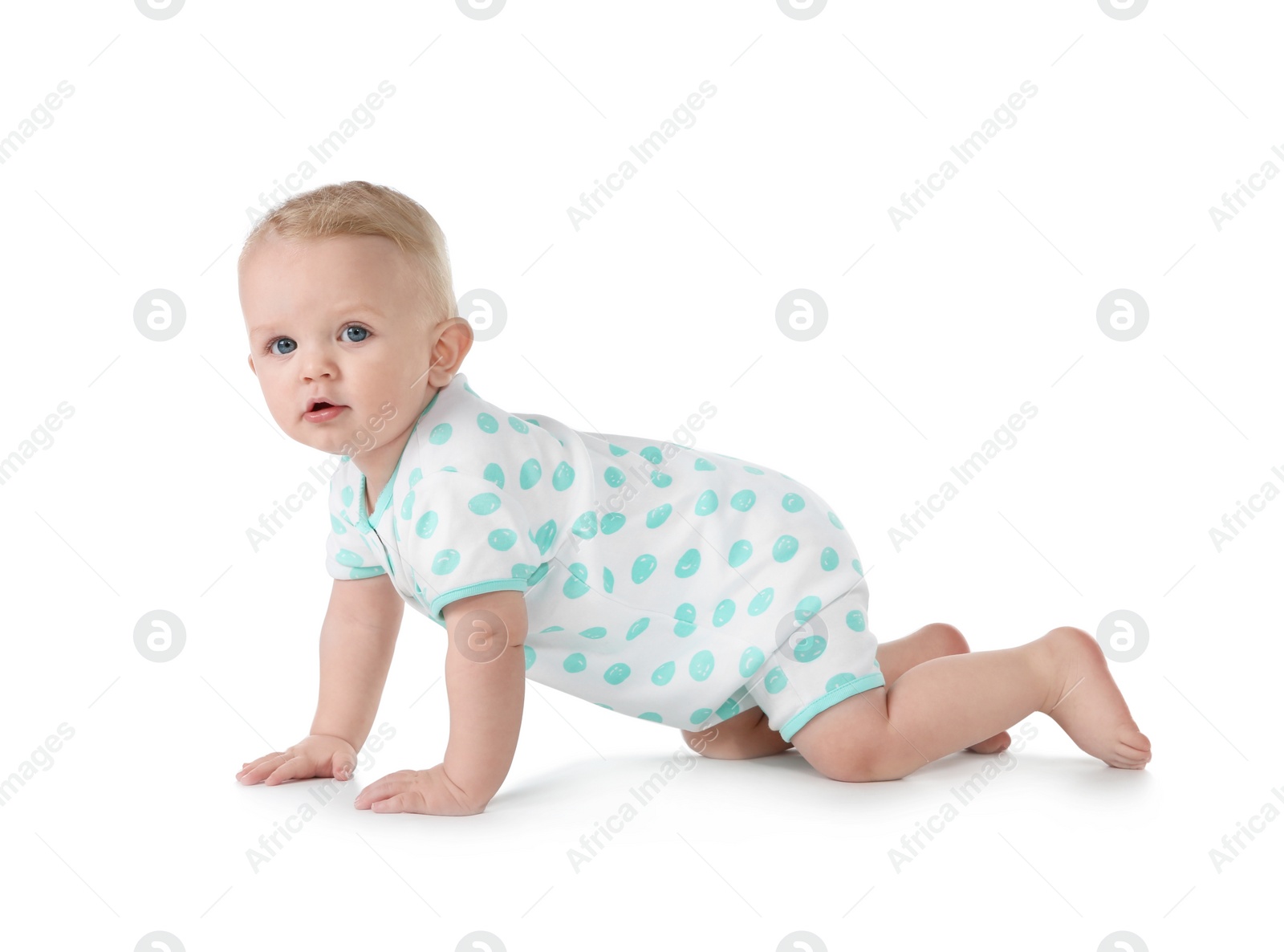 Photo of Cute little baby crawling on white background