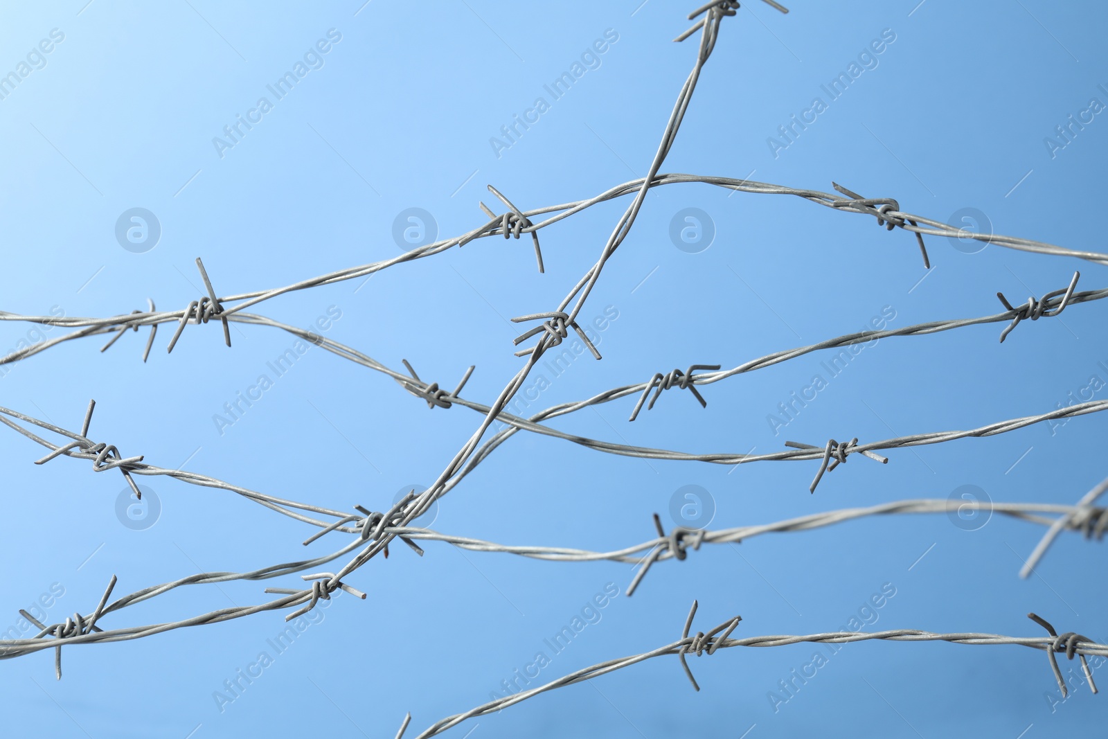 Photo of Metal barbed wire on light blue background