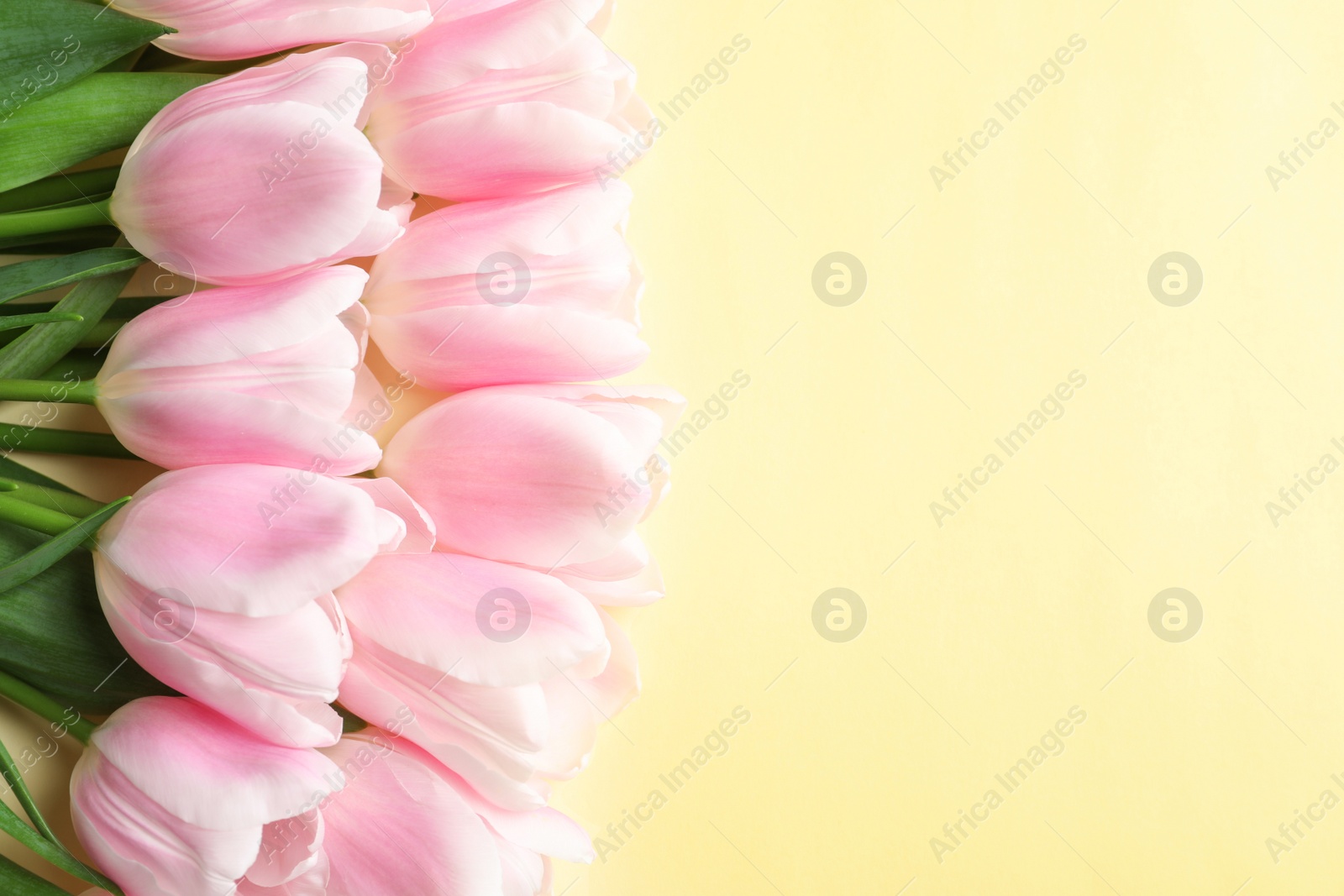 Photo of Beautiful composition with tulips for Mother's Day on color background