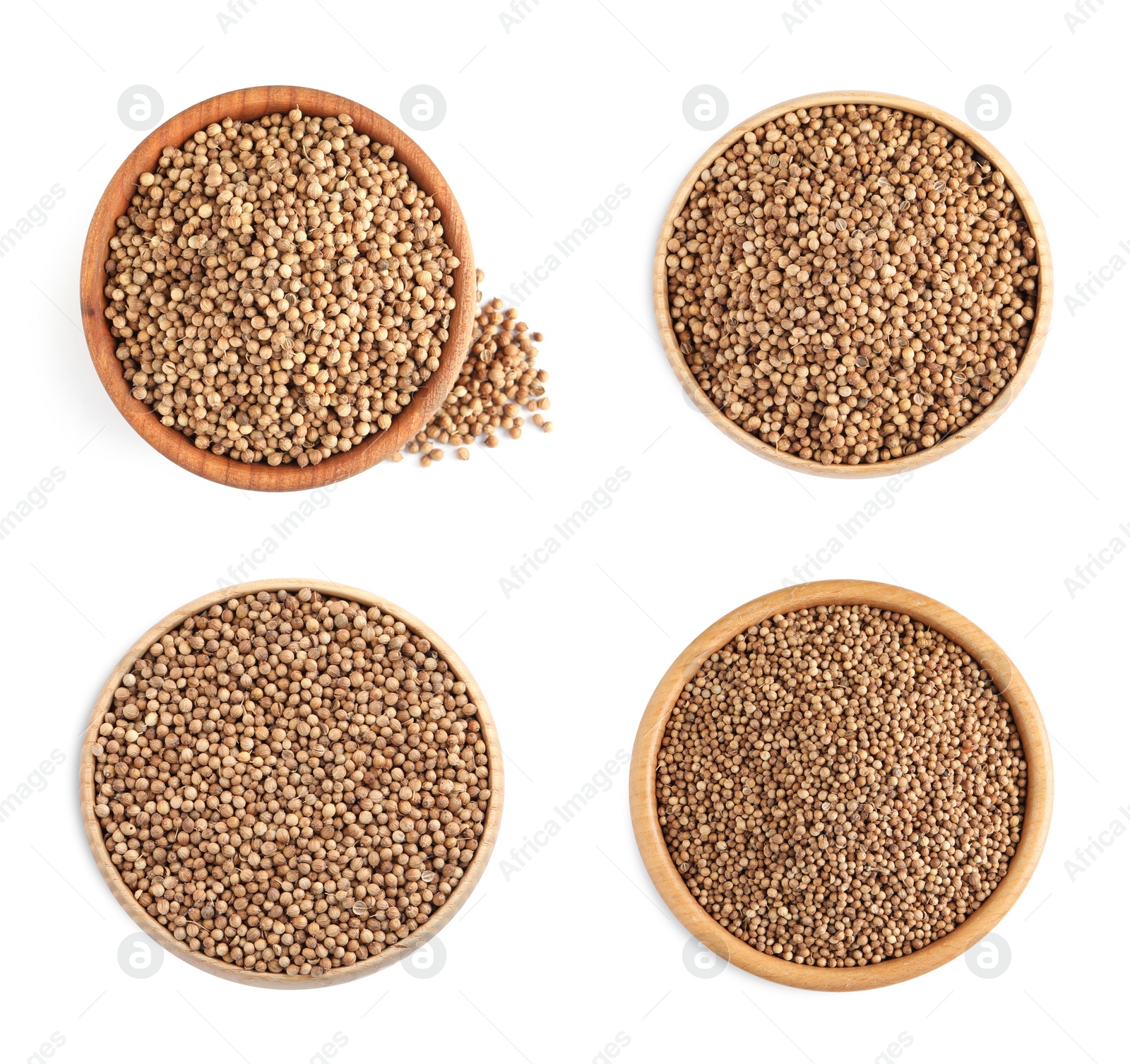 Image of Set with coriander seeds on white background, top view