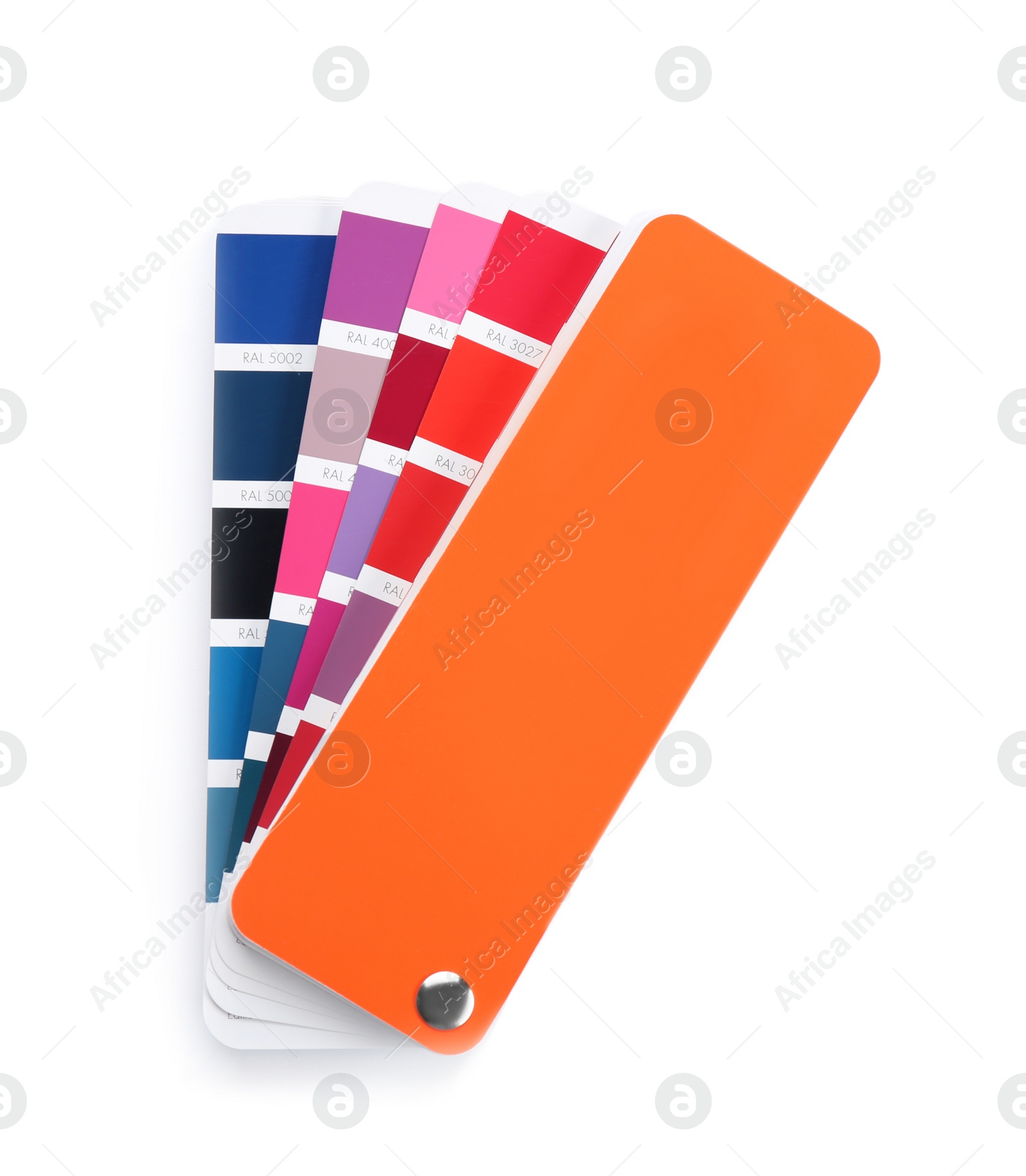 Photo of Color palette samples on white background