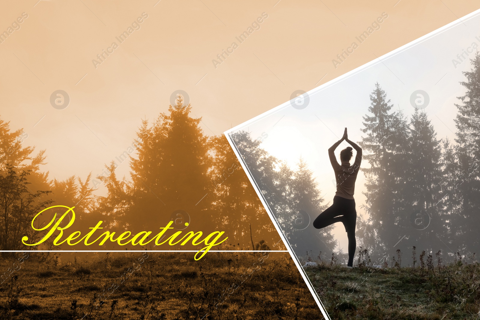 Image of Wellness retreat. Woman practicing yoga near forest, back view. Color tone effect