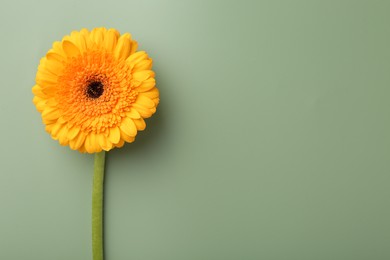 Photo of Beautiful orange gerbera flower on pale green background, top view. Space for text