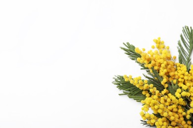 Photo of Beautiful mimosa flowers on white background, top view