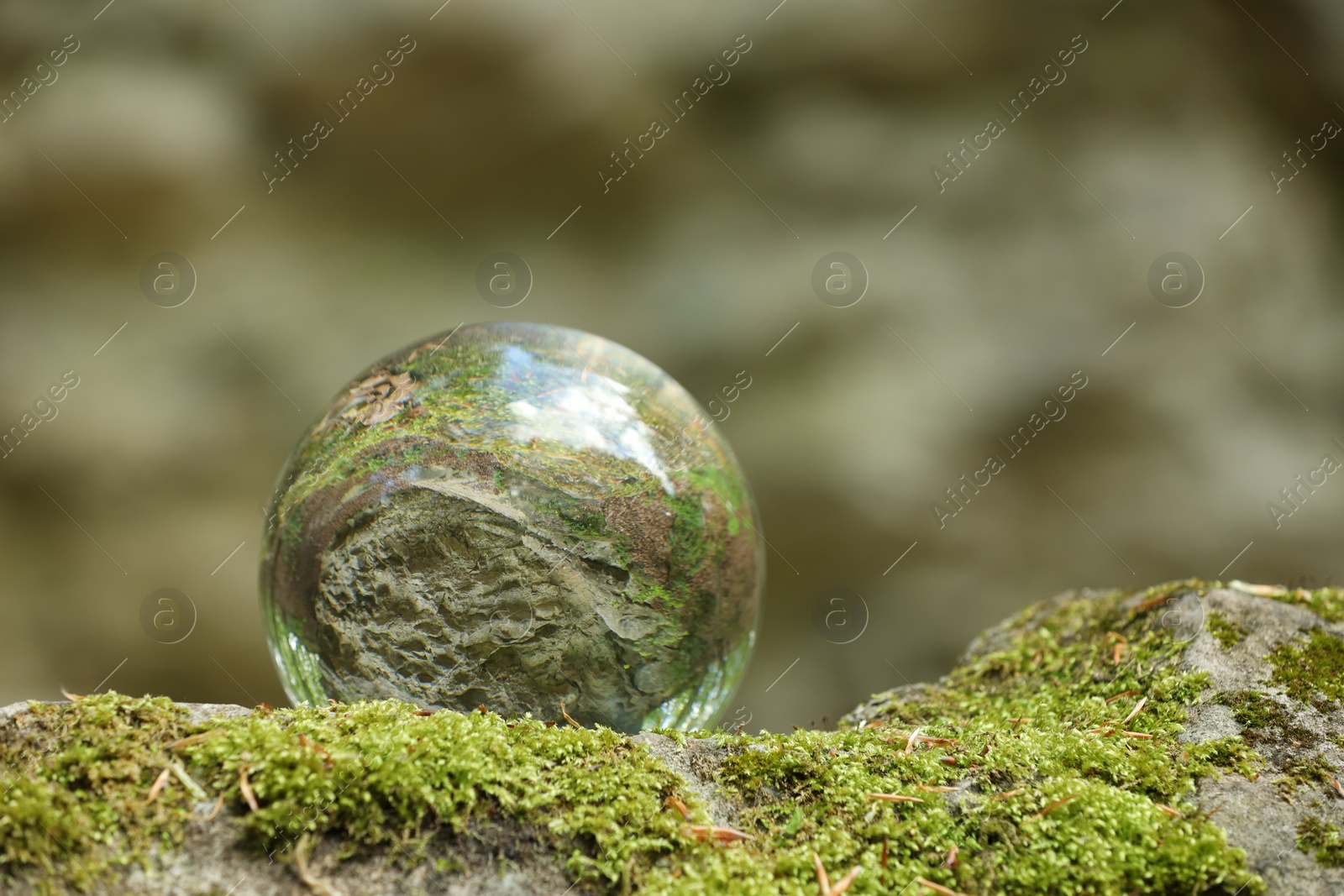 Photo of Beautiful forest, overturned reflection. Crystal ball on stone surface with moss outdoors