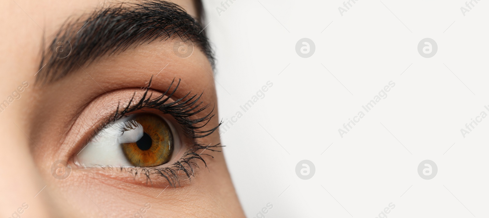 Image of Closeup view of woman with beautiful eyes on white background. Banner design