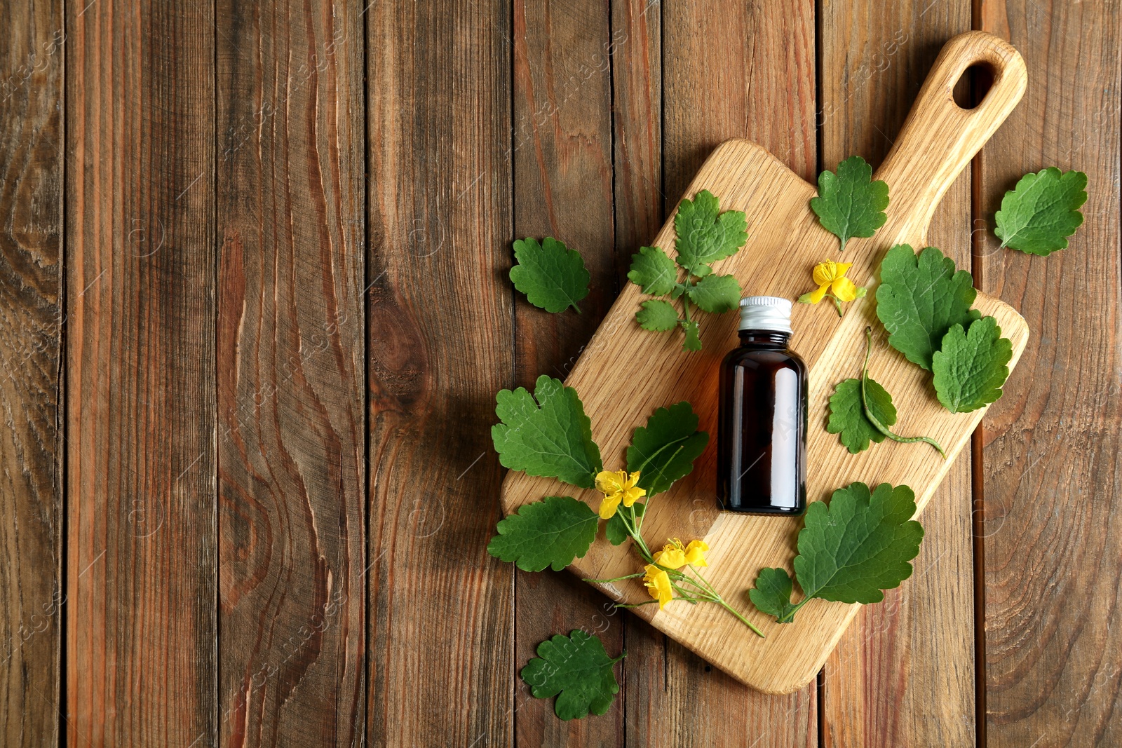 Photo of Bottle of celandine tincture and plant on wooden table, top view. Space for text