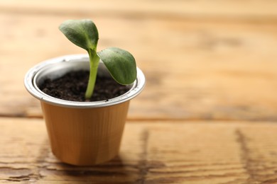 Photo of Coffee capsule with seedling on wooden table, closeup. Space for text