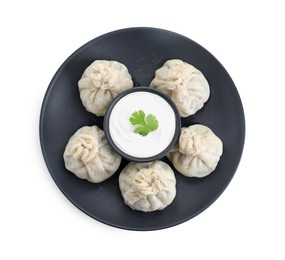 Tasty khinkali (dumplings) with sauce and spices isolated on white, top view. Georgian cuisine