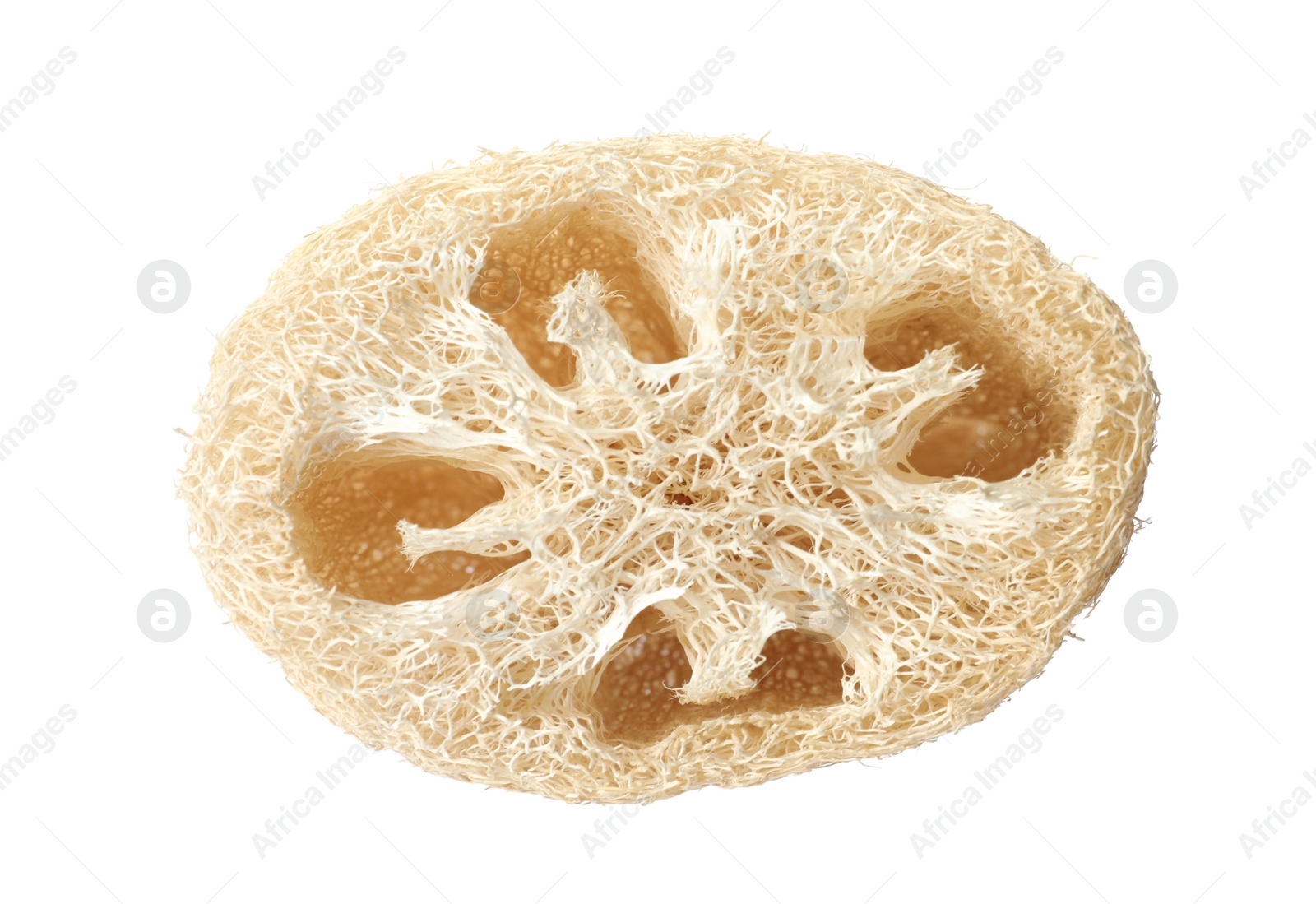 Photo of Natural shower loofah sponge isolated on white