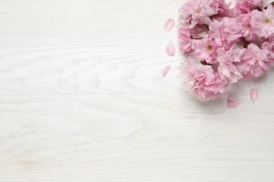 Beautiful sakura tree blossoms on white wooden table, flat lay. Space for text