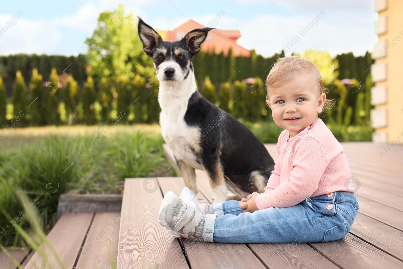 Photo of Adorable baby and furry little dog on wooden porch outdoors