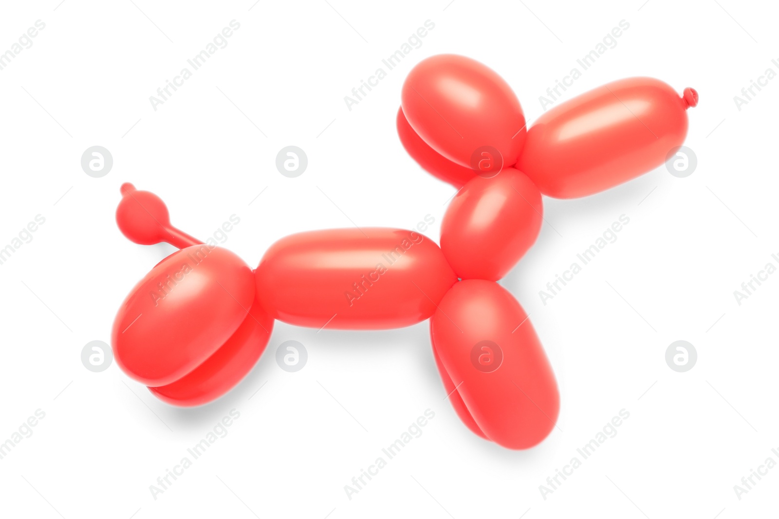 Photo of Red dog figure made of modelling balloon on white background, top view