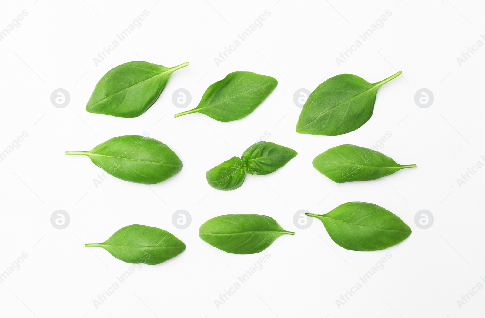 Photo of Fresh green basil leaves on white background, top view