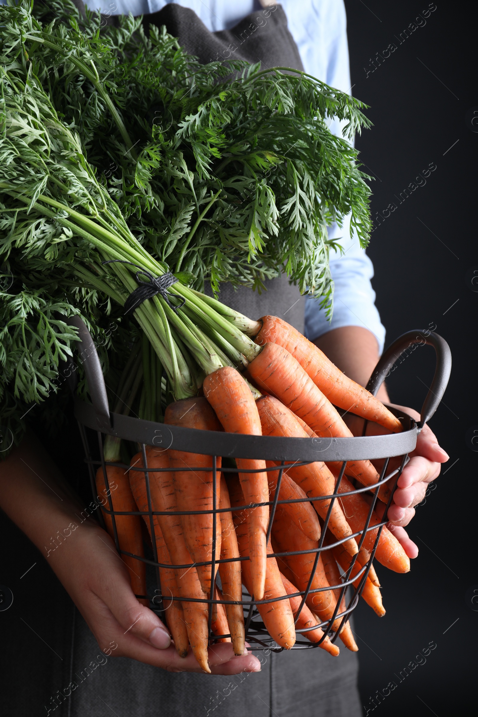 Photo of Woman holding basket with ripe carrots on black background, closeup