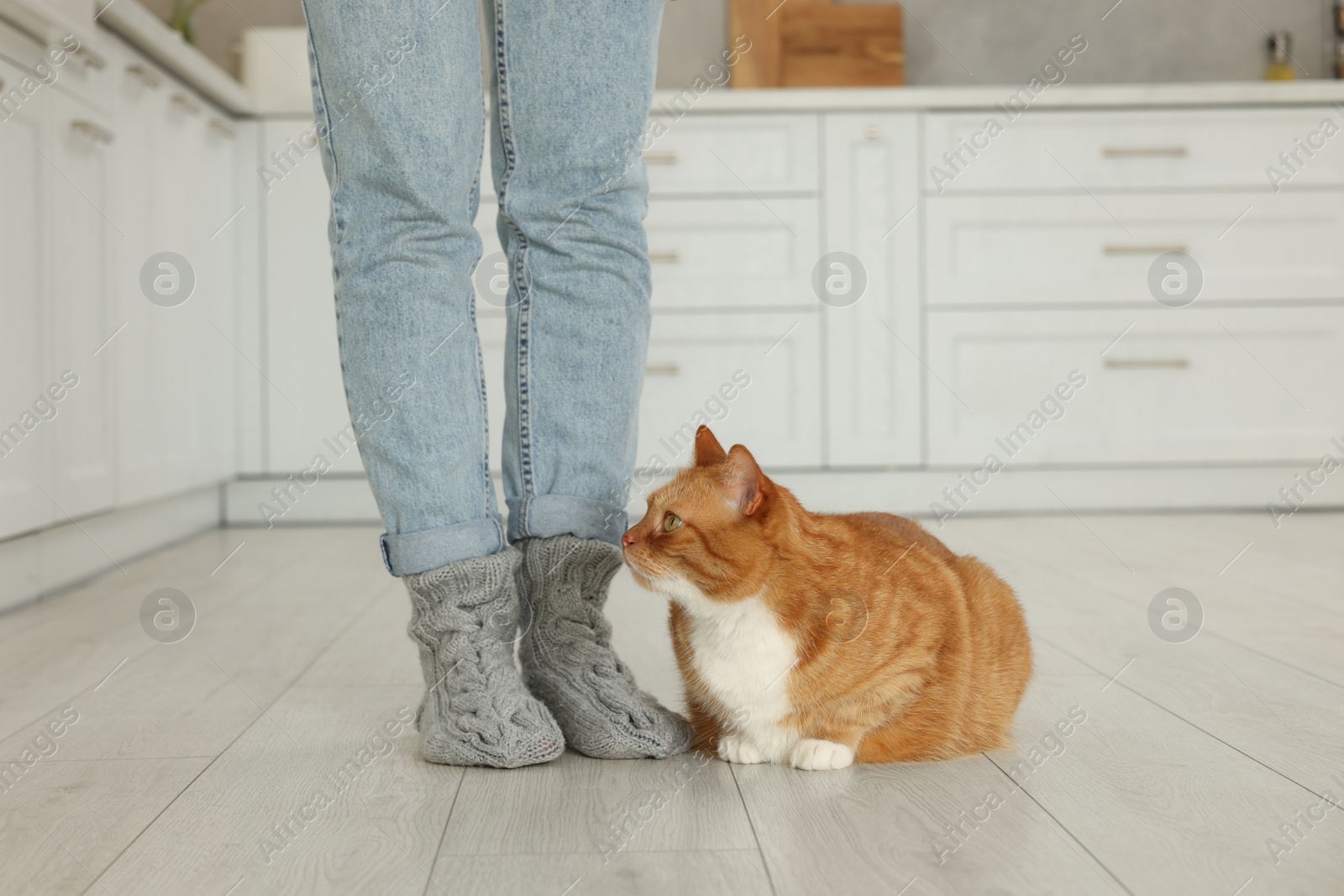 Photo of Woman with cute cat in kitchen at home, closeup