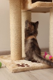 Photo of Cute fluffy kitten sharpening claws on cat tree at home