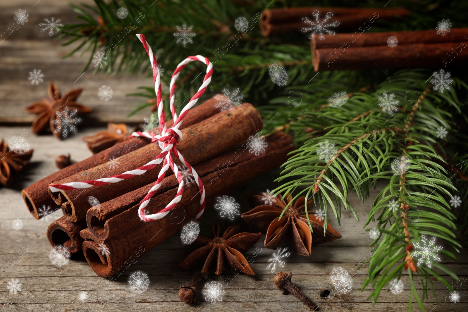 Image of Different spices and fir tree branches on wooden table, closeup. Cinnamon, anise, cloves