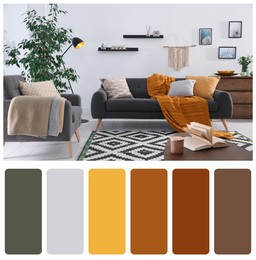 Image of Color palette and photo of stylish living room interior. Collage