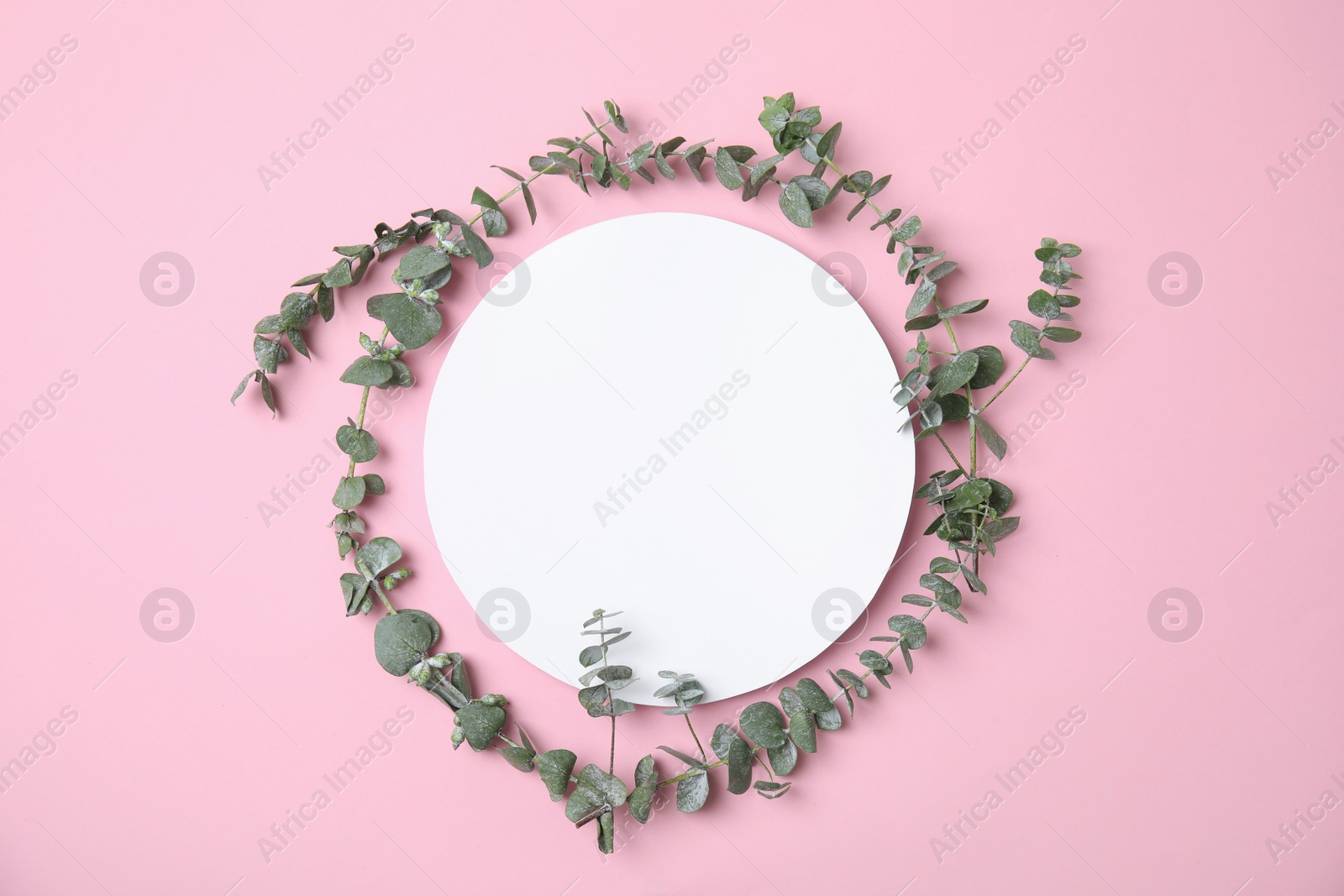 Photo of Fresh eucalyptus leaves and blank card with space for design on color background, top view