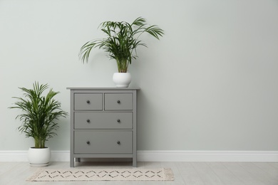 Photo of Exotic house plants and chest of drawers near grey wall. Space for text