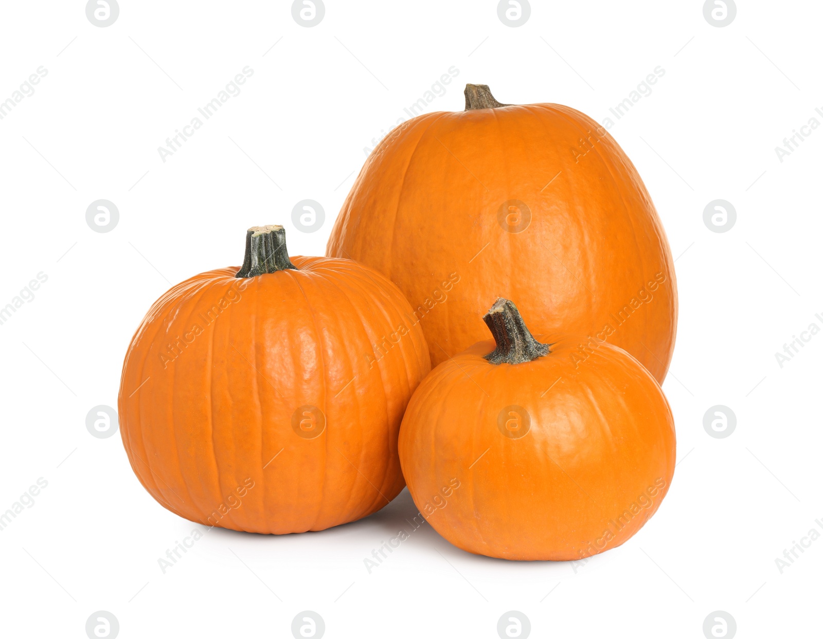 Photo of Fresh ripe pumpkins isolated on white. Organic plant