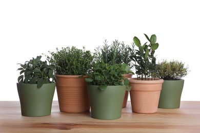 Photo of Pots with thyme, bay, sage, mint and rosemary on wooden table against white background