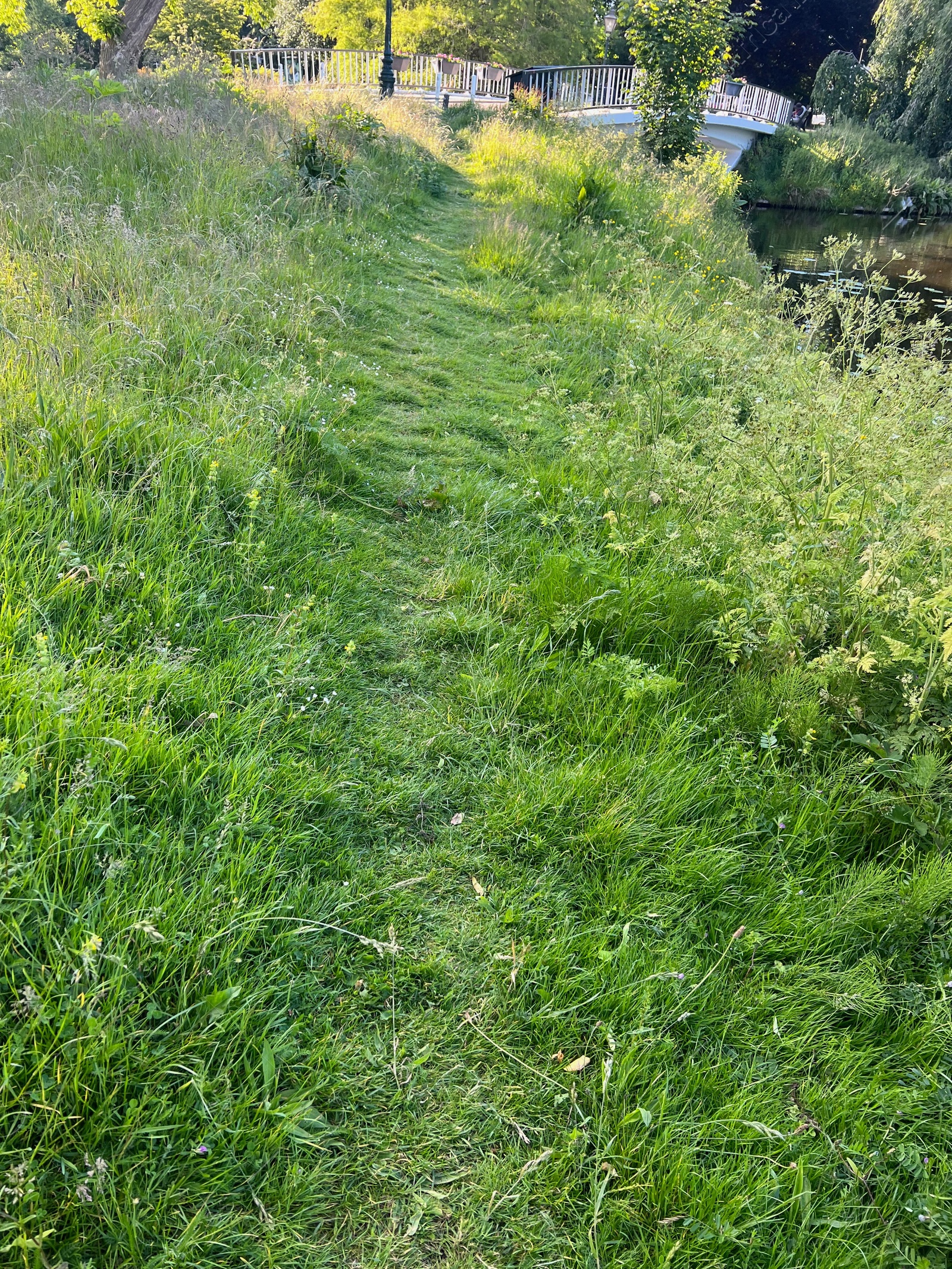 Photo of Footpath in green grass to bridge across canal