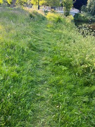 Photo of Footpath in green grass to bridge across canal