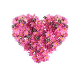 Heart made with beautiful Forget-me-not flowers isolated on white