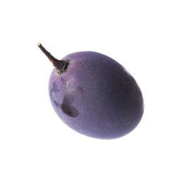 Photo of One ripe dark blue grape isolated on white