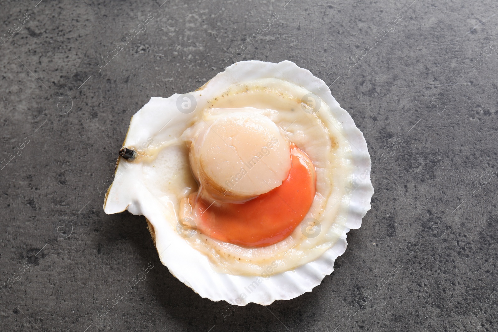 Photo of Fresh raw scallop in shell on grey table, top view