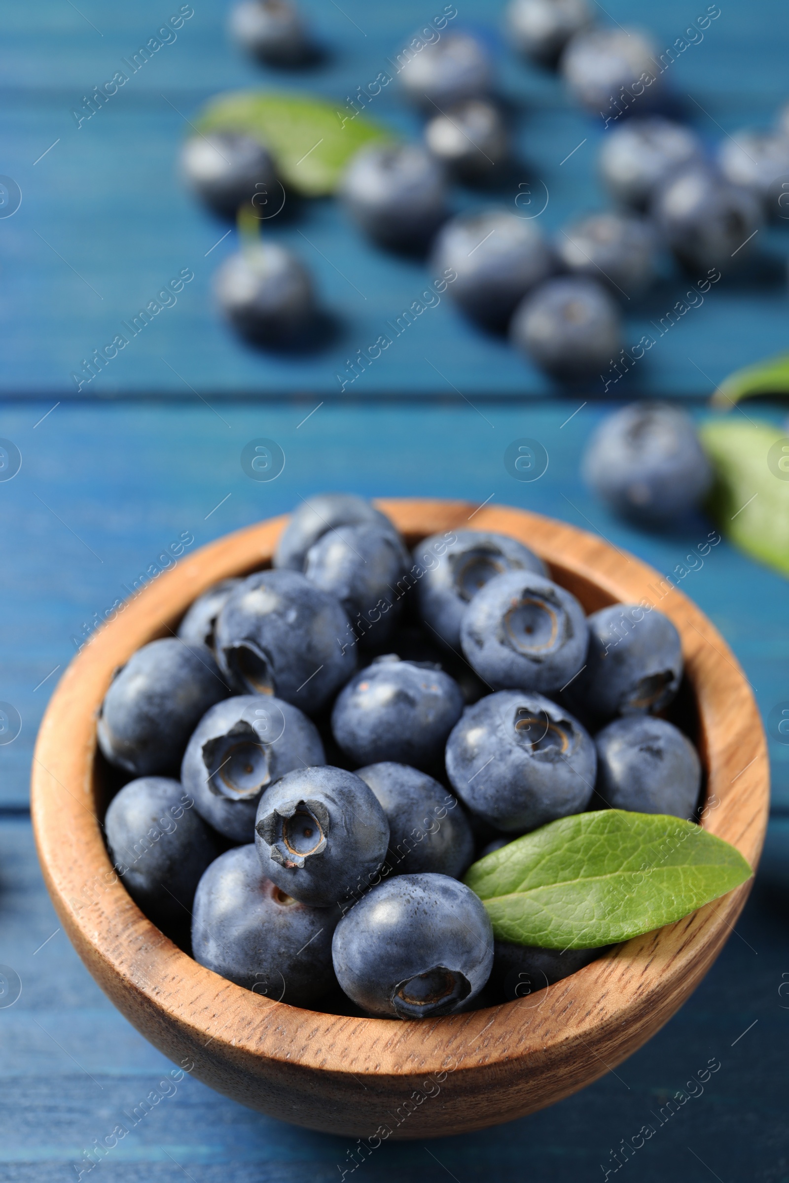 Photo of Bowl of fresh tasty blueberries on blue wooden table, closeup. Space for text