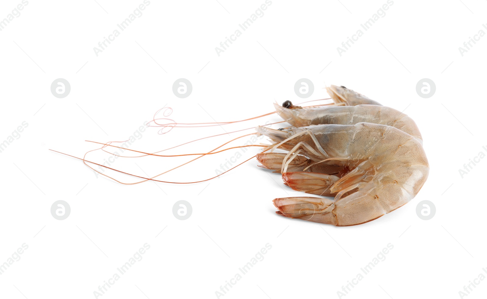 Photo of Fresh raw shrimps isolated on white. Healthy seafood