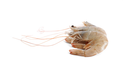 Fresh raw shrimps isolated on white. Healthy seafood