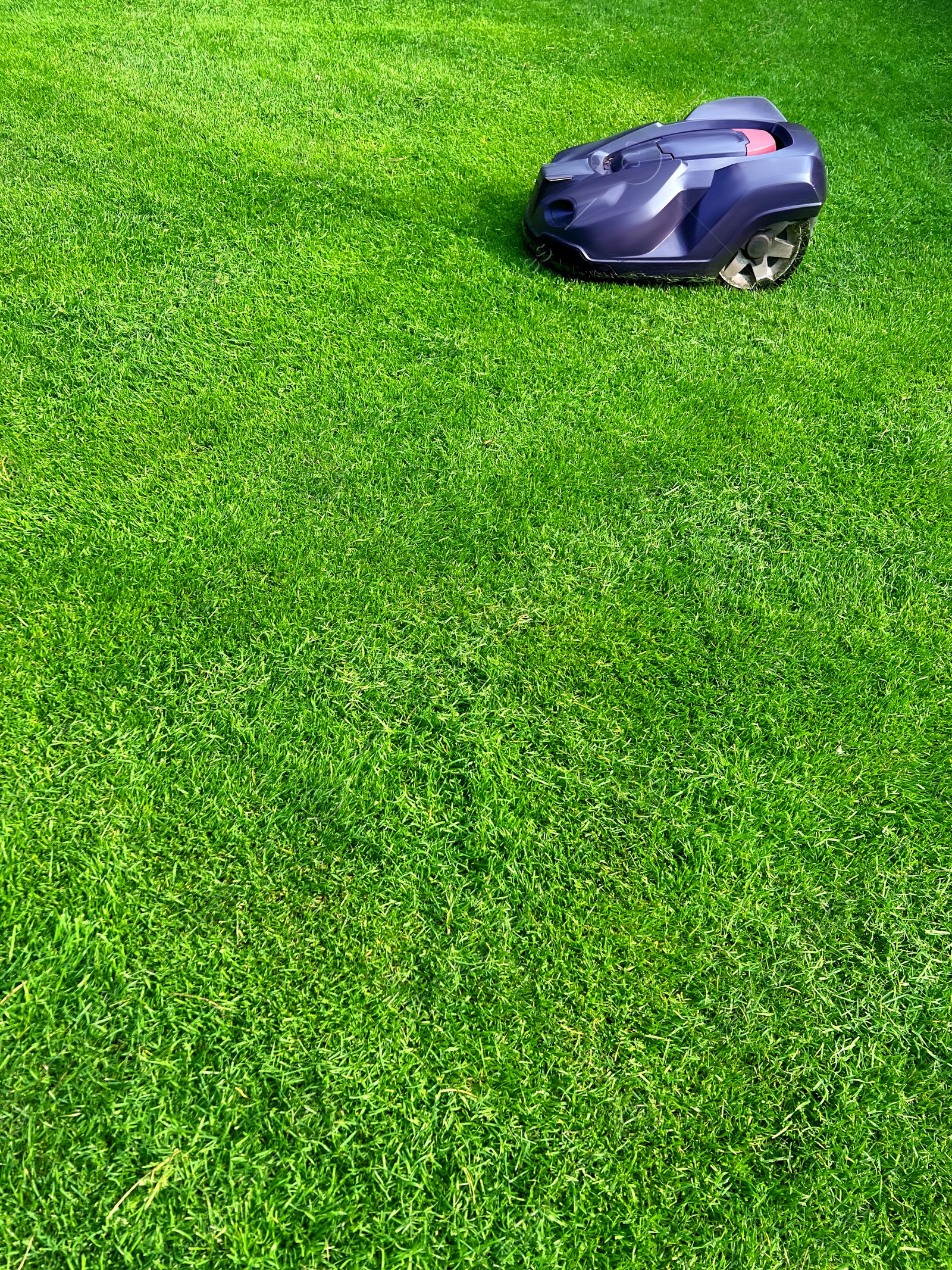 Photo of Modern robot lawn mower on green grass in garden